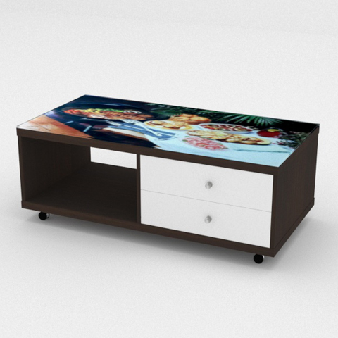 SCT 313 Coffee Table